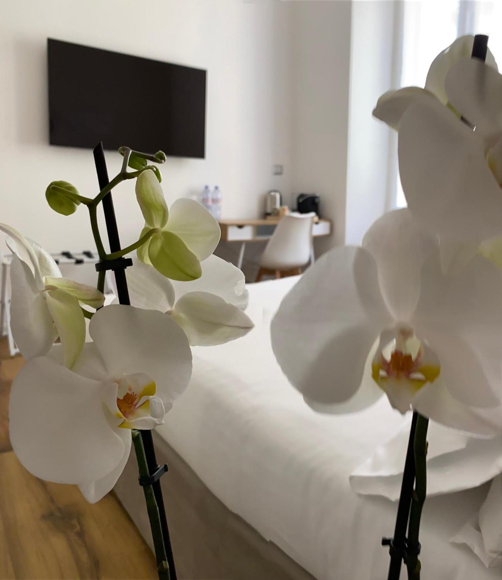 Belltower Elegans Hotell Roma Eksteriør bilde